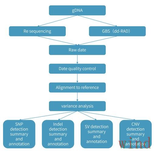 亚博综合版访问方式详细解析